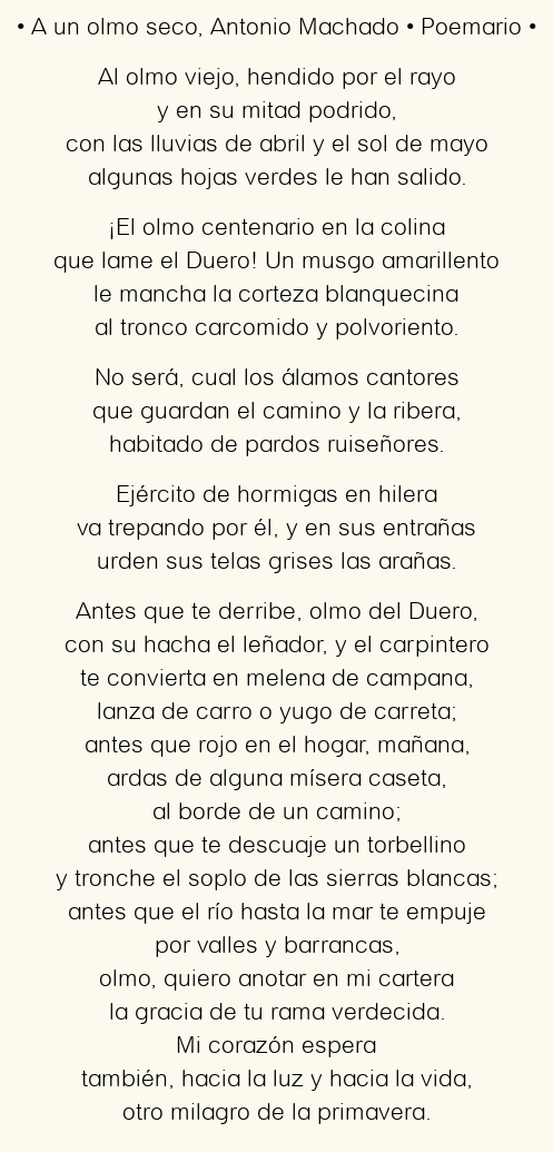 Imagen con el poema A un olmo seco, por Antonio Machado