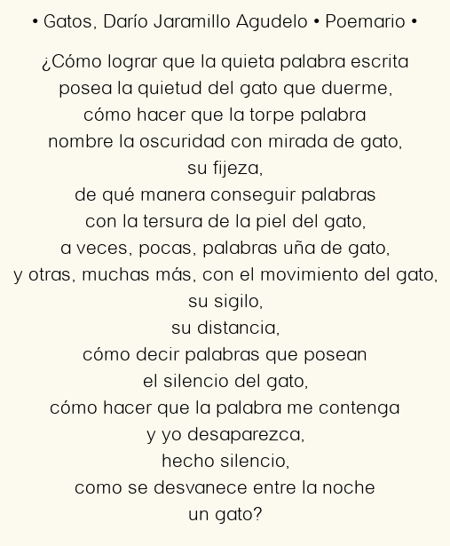 Imagen con el poema Gatos, por Darío Jaramillo Agudelo