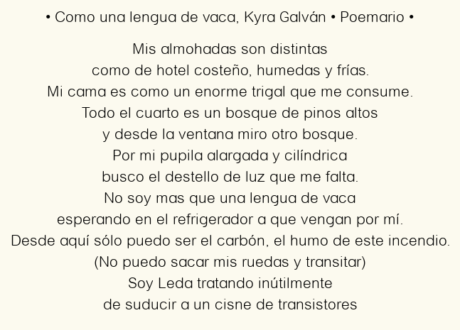 Imagen con el poema Como una lengua de vaca, por Kyra Galván