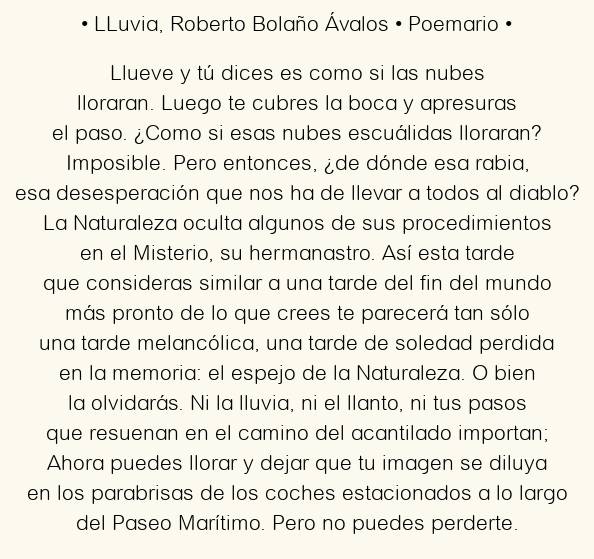 LLuvia, por Roberto Bolaño Ávalos