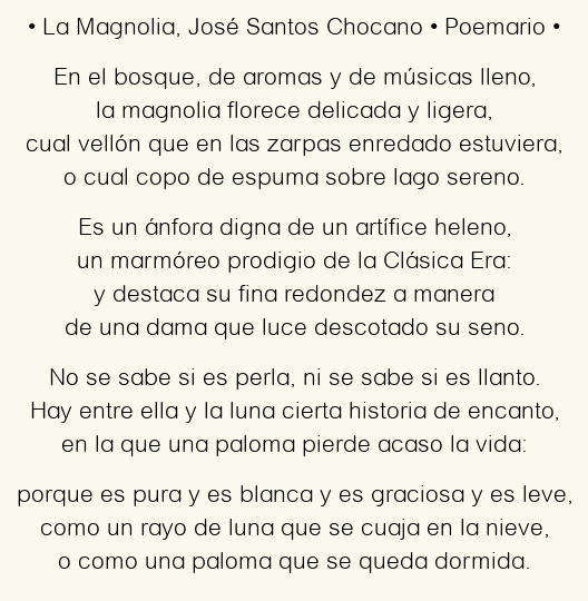 Imagen con el poema La Magnolia, por José Santos Chocano