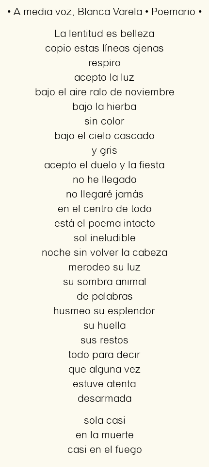 Imagen con el poema A media voz, por Blanca Varela
