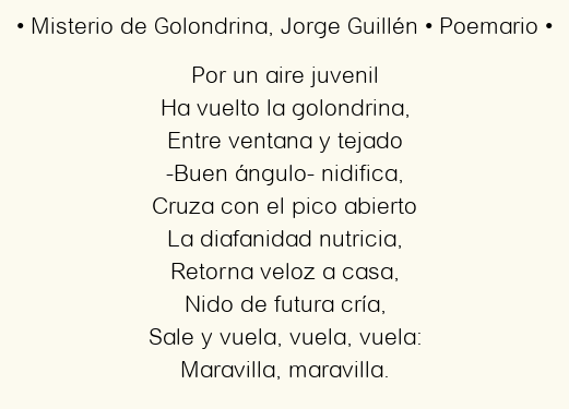 Imagen con el poema Misterio de Golondrina, por Jorge Guillén