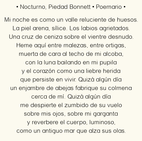 Imagen con el poema Nocturno, por Piedad Bonnett