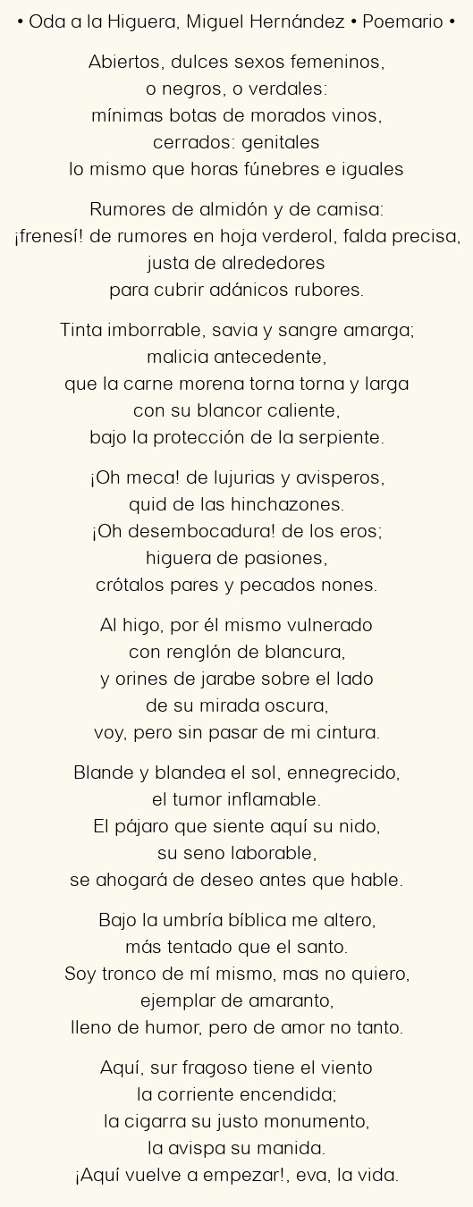 Imagen con el poema Oda a la Higuera, por Miguel Hernández