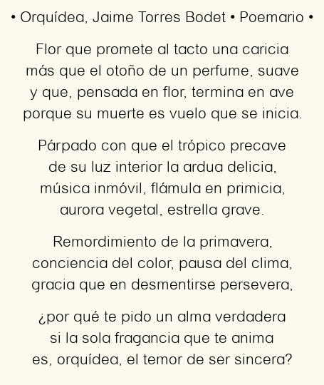 Imagen con el poema Orquídea, por Jaime Torres Bodet