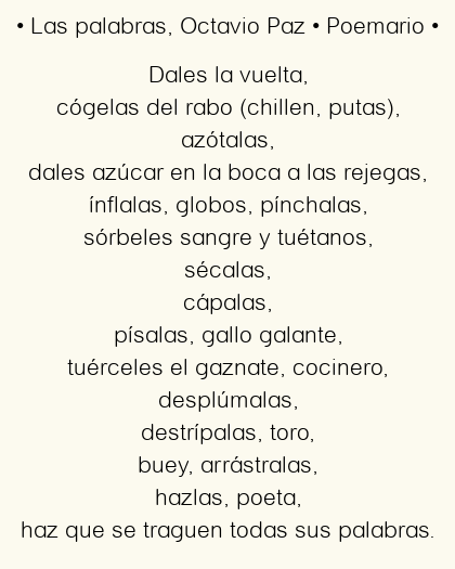 Imagen con el poema Las palabras, por Octavio Paz