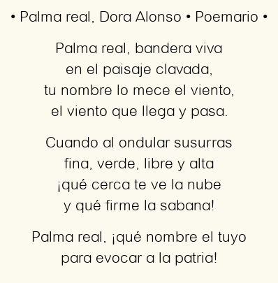 Imagen con el poema Palma real, por Dora Alonso