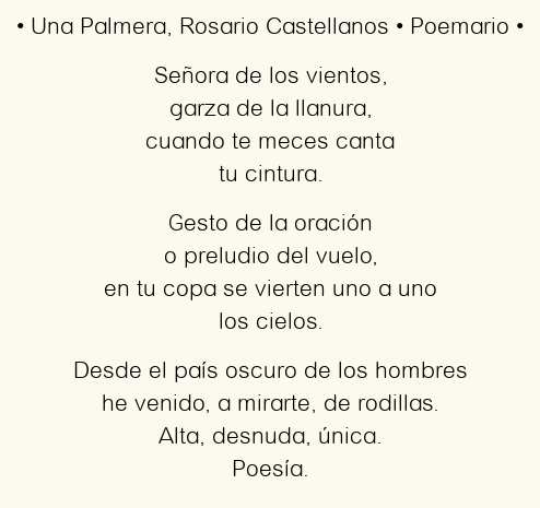 Imagen con el poema Una Palmera, por Rosario Castellanos