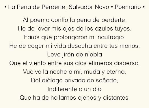 Imagen con el poema La Pena de Perderte, por Salvador Novo