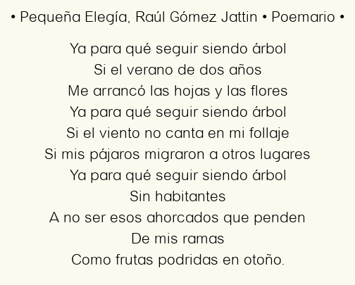 Imagen con el poema Pequeña Elegía, por Raúl Gómez Jattin