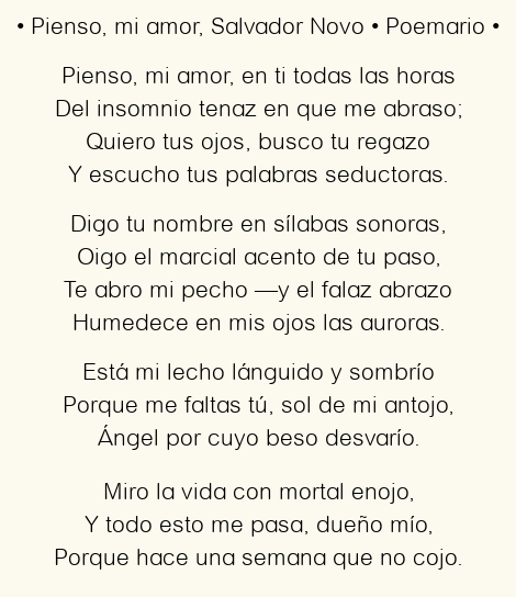 Imagen con el poema Pienso, mi amor, por Salvador Novo