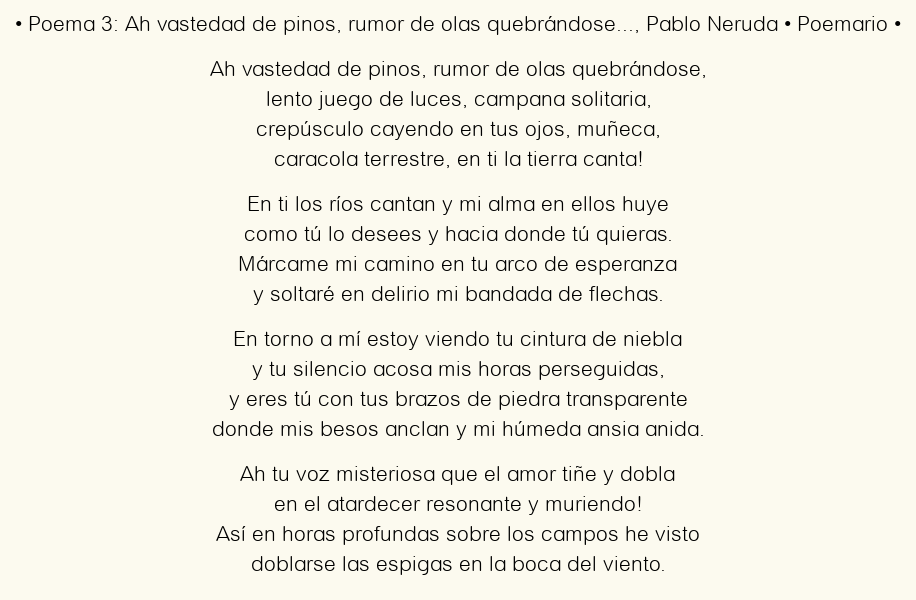 Imagen con el poema Poema 3: Ah vastedad de pinos, rumor de olas quebrándose…, por Pablo Neruda