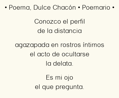 Imagen con el poema Poema, por Dulce Chacón