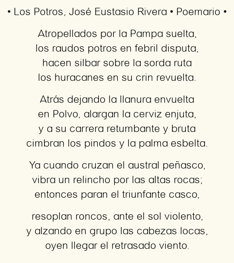 Imagen con el poema Los Potros, por José Eustasio Rivera