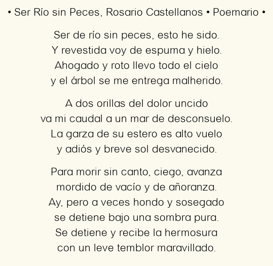 Imagen con el poema Ser Río sin Peces, por Rosario Castellanos