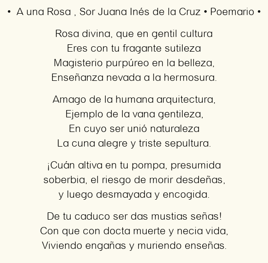 Imagen con el poema ​A una Rosa​, por Sor Juana Inés de la Cruz