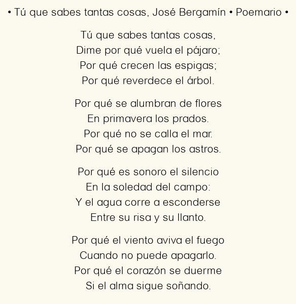 Imagen con el poema Tú que sabes tantas cosas, por José Bergamín