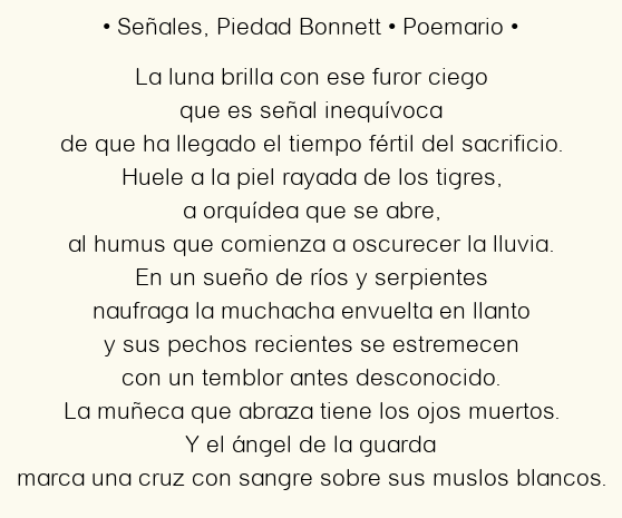 Imagen con el poema Señales, por Piedad Bonnett