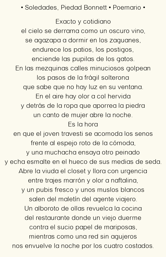 Imagen con el poema Soledades, por Piedad Bonnett