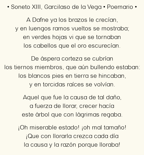 Imagen con el poema Soneto XIII, por Garcilaso de la Vega