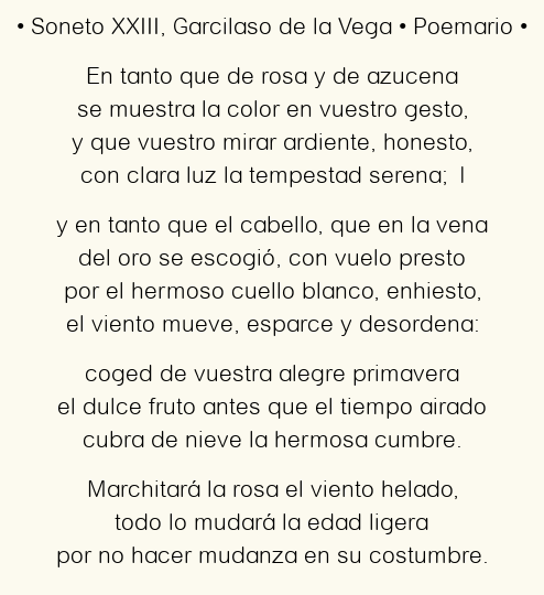 Imagen con el poema Soneto XXIII, por Garcilaso de la Vega