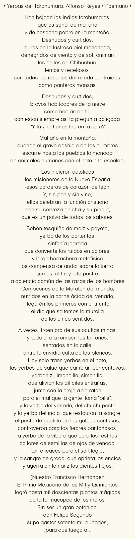 Imagen con el poema Yerbas del Tarahumara, por Alfonso Reyes