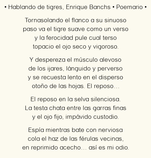 Imagen con el poema Hablando de tigres, por Enrique Banchs