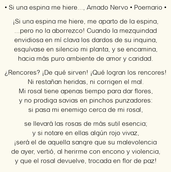 Imagen con el poema Si una espina me hiere…, por Amado Nervo